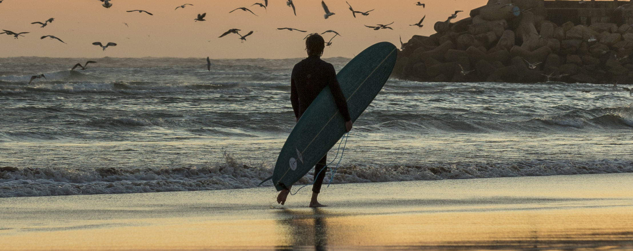 elloha - réservez vos activités en ligne